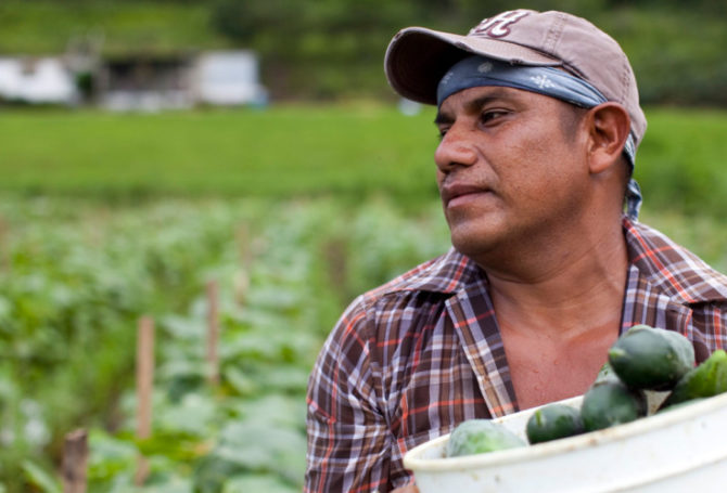 Image for Farmworker Overtime Bill Survives Week Three of Short Session