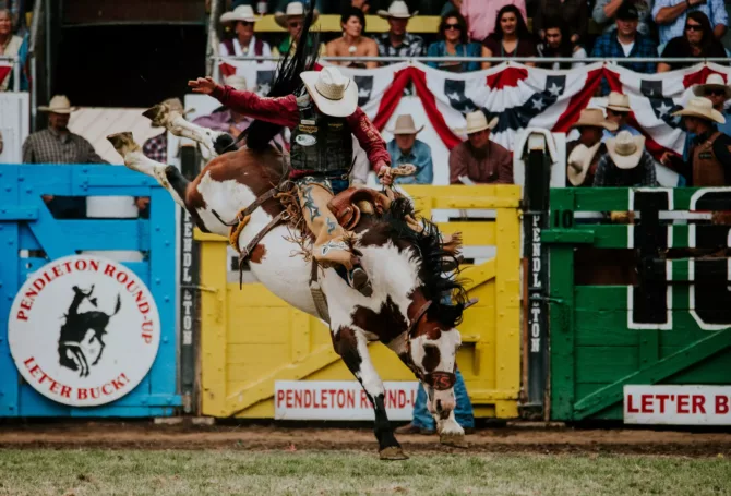 Image for Rodeo Celebrates Rich Heritage and Diversity